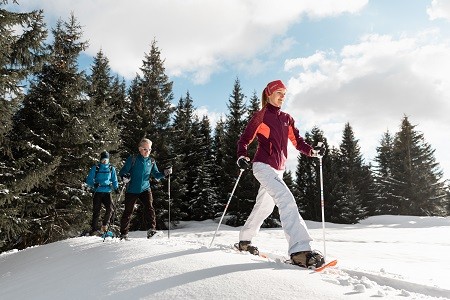 Snowshoe and Pedestrian Itineraries