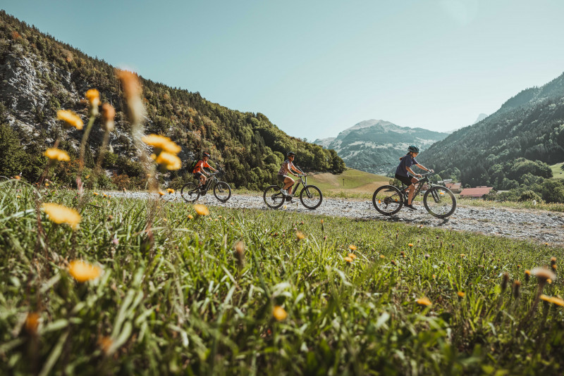 Mountain bike itineraries